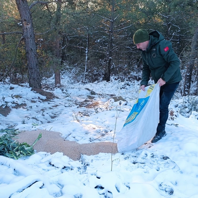 Tekirdağ'da yaban hayvanları için doğaya yem bırakıldı