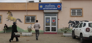 Yaralı ve yürüme güçlüğü çeken hayvanlara fizik tedavi