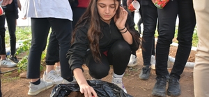 Hollanda Büyükelçiliği´nin gönderdiği lale soğanları, Silopi´de yetiştirile...