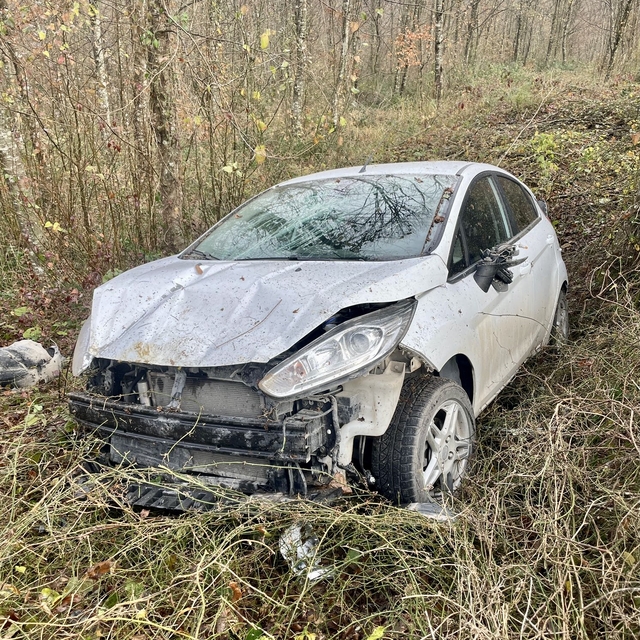 Sinop'ta otomobil ormanlık alana devrildi, bir kişi yaralandı