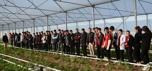 Hollanda Büyükelçiliğinden gönderilen lale soğanları Şırnak'taki okulda dikildi