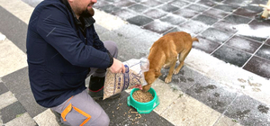 Tekirdağ'dan kısa kısa 