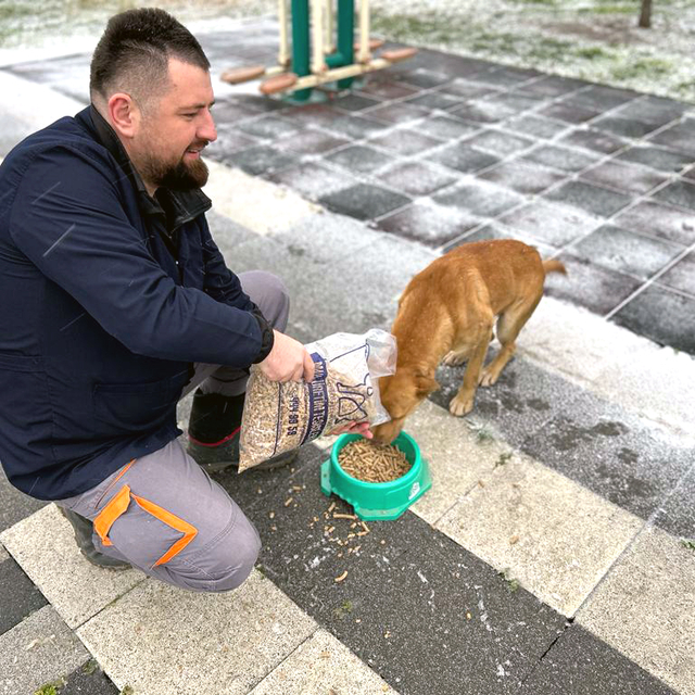Tekirdağ'dan kısa kısa