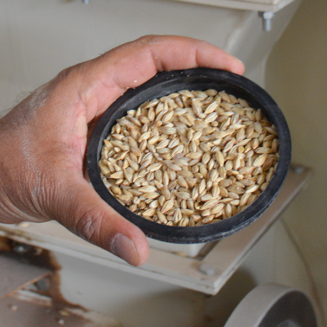 Bozkırın ortasındaki tarım işletmesi çiftçilerin kaliteli tohum ihtiyacına...