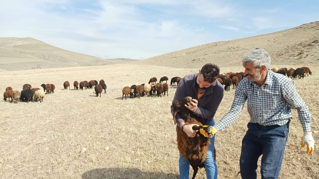 Erzurum'da "Köyümde Yaşamak için Bir Sürü Nedenim Var" projesinin 3'üncü etabı başladı