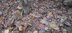 Bayat'ta dolu etkili oldu