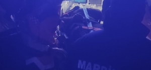 Mardin'de şarampole devrilen otomobildeki 5 kişi yaralandı