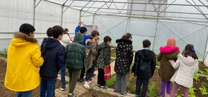 Tepealtı Doğa, Fen ve Matematik Okulu'nda öğrenciler doğada yaşayarak öğreniyor