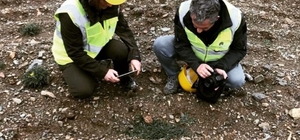 Kastamonu'nun Hanönü ilçesinde 35 endemik tür tespit edildi