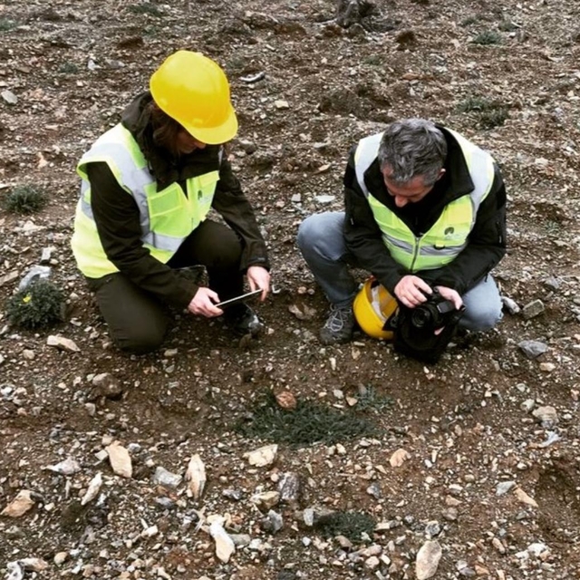Kastamonu'nun Hanönü ilçesinde 35 endemik tür tespit edildi