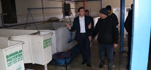 Keban Kaymakamı Atalık, Keban Su Ürünleri Üretim Tesislerini ziyaret etti
