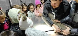 Öğrenciler, Osmaneli Belediyesinin hayvan hastanesini gezdi