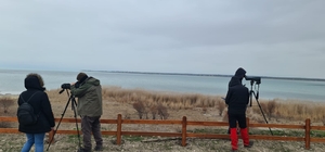 Konya'nın göllerinde kış ortası su kuşu sayımı yapıldı