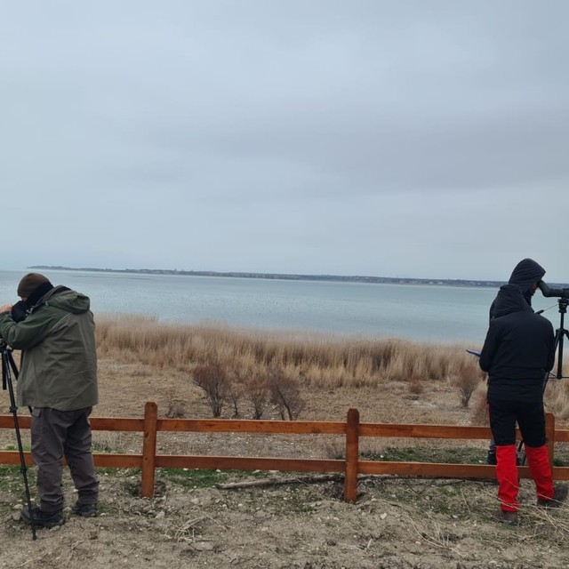 Konya'nın göllerinde kış ortası su kuşu sayımı yapıldı