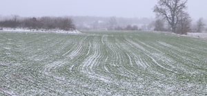 Edirne'de kar buğday üreticilerini sevindirdi