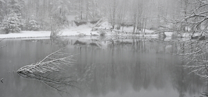 Düzce'de kar yağışı ve kuvvetli rüzgar etkili oldu 