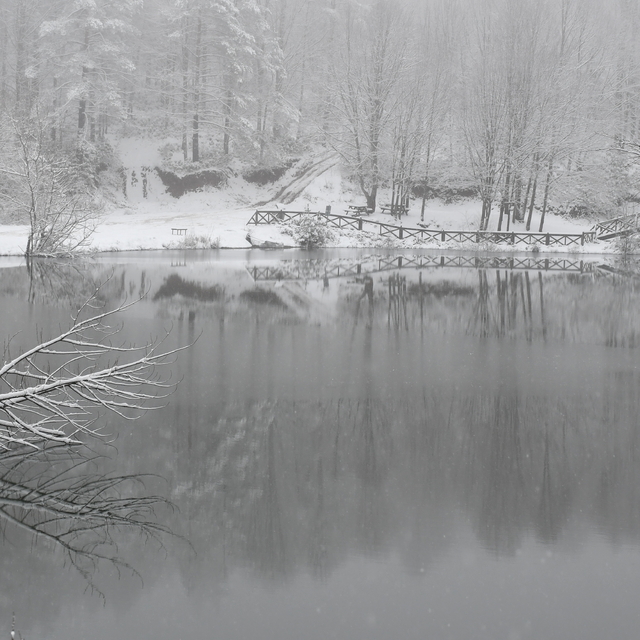 Düzce'de kar yağışı ve kuvvetli rüzgar etkili oldu