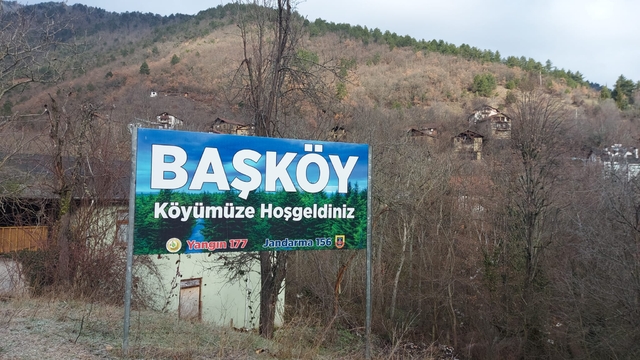 Karabük'te, hayvanların zehirlenerek öldürüldüğü iddiasına soruşturma