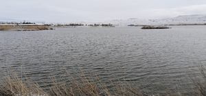 Ulaş Gölü'nde kış sessizliği hakim oldu