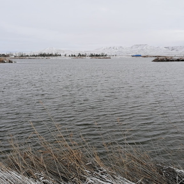 Ulaş Gölü'nde kış sessizliği hakim oldu