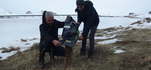 Tatvan'da yaban hayvanları için doğaya yem bırakıldı