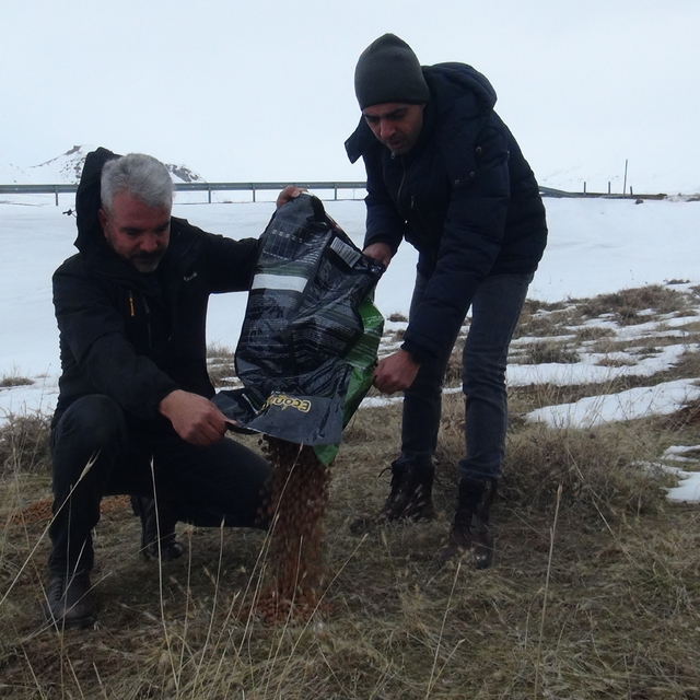 Tatvan'da yaban hayvanları için doğaya yem bırakıldı