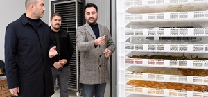 Samsun'da meyve sebze kurutma tesisi faaliyete başladı