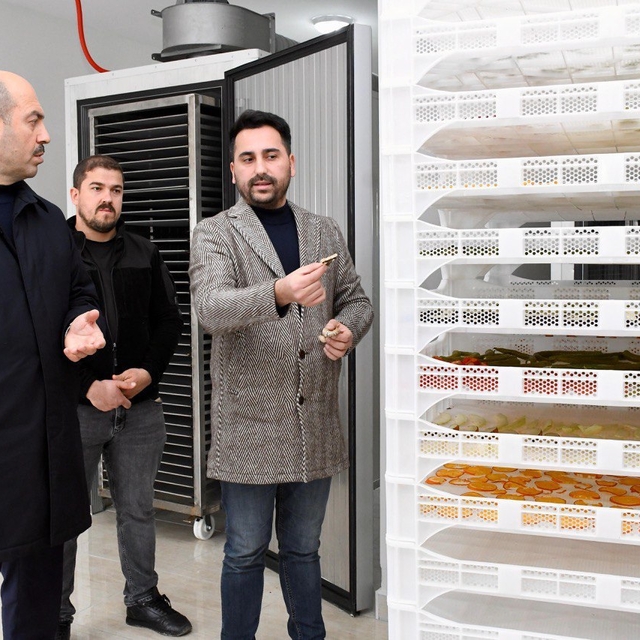 Samsun'da meyve sebze kurutma tesisi faaliyete başladı