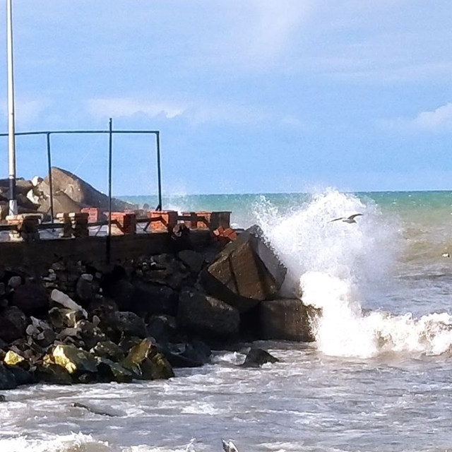 Düzce'de kuvvetli rüzgar etkili oldu
