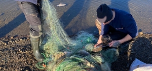 Kırklareli'nde baraj gölüne serilen ağlar ele geçirildi