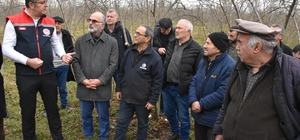 Fındık üreticileri aldıkları eğitimle bahçelerinde verim ve kaliteyi artırı...
