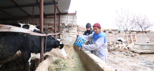 İŞKUR desteğiyle hayvanlarının sayısını artıran işitme engelli, ailesinin geçimini sağlıyor