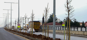 Diyarbakır'da ağaçlandırma çalışmaları sürüyor