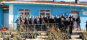 Ayancık'ta çiftçilere meyve fidanı dağıtıldı