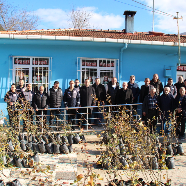 Ayancık'ta çiftçilere meyve fidanı dağıtıldı
