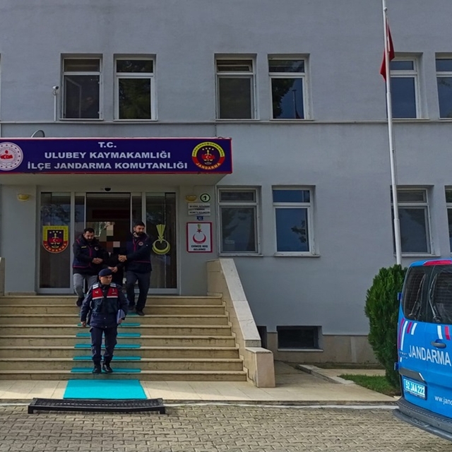 Ordu'da 1 ton fındık hırsızlığına tutuklama