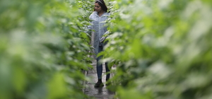 Pazarcılar kurdukları serayla hem üretime hem de kadın istihdamına katkı sağlıyor