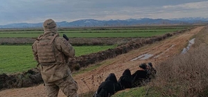 Edirne'de jandarma ekipleri 21 düzensiz göçmen yakaladı
