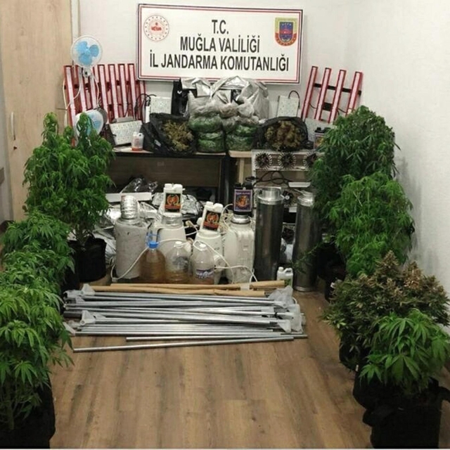 Prefabrik konteynere uyuşturucu operasyonunda 1 gözaltı