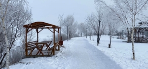 Sibirya soğuklarının etkisindeki Ardahan'da ağaçlar kırağı tuttu