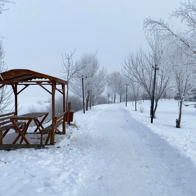 Sibirya soğuklarının etkisindeki Ardahan'da ağaçlar kırağı tuttu