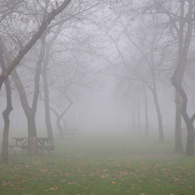 Turgutlu'da sis etkili oldu