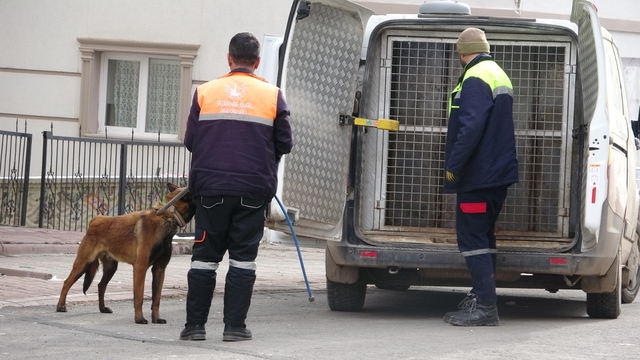 Sivas'ta 4 kişiye saldırıp yaralayan köpeğin sahibi adli kontrolle serbest