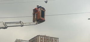 Kayseri'de elektrik teline takılarak mahsur kalan güvercini itfaiye kurtardı