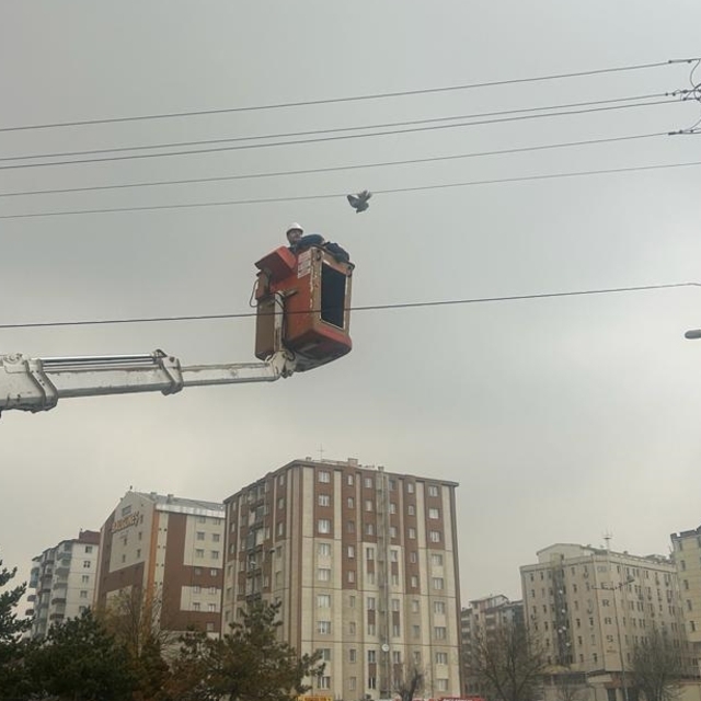 Kayseri'de elektrik teline takılarak mahsur kalan güvercini itfaiye kurtard...