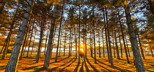 Hazar Gölü'nde gün batımı güzelliği