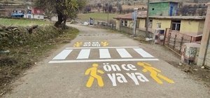 Batman'da 35 köye "önce yaya" trafik işareti çizildi