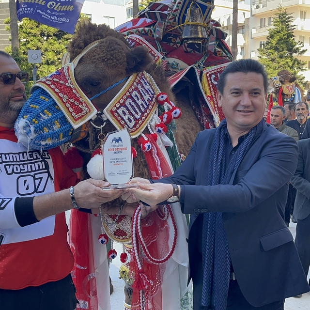 Antalya'da "en süslü deve" yarışması düzenlendi