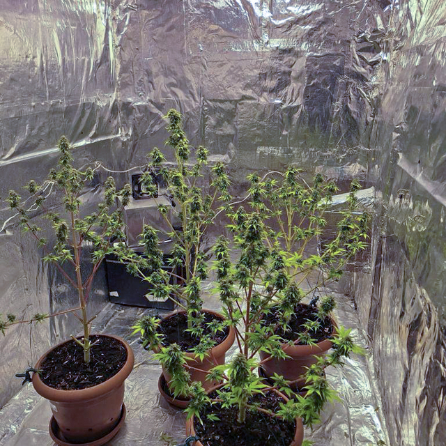 Kocaeli'de evinde kurduğu düzenekle uyuşturucu imal eden şüpheli yakalandı