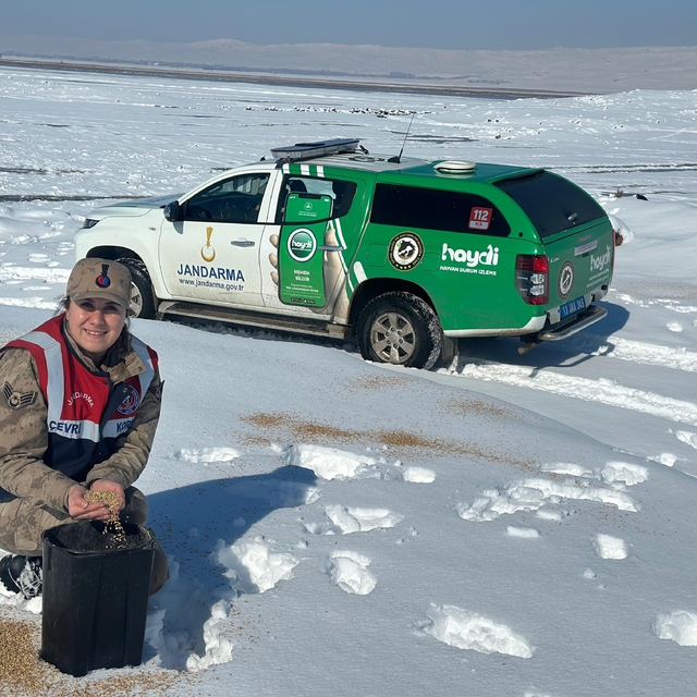 Bitlis'te jandarma ekipleri yaban hayvanları için doğaya yem bıraktı